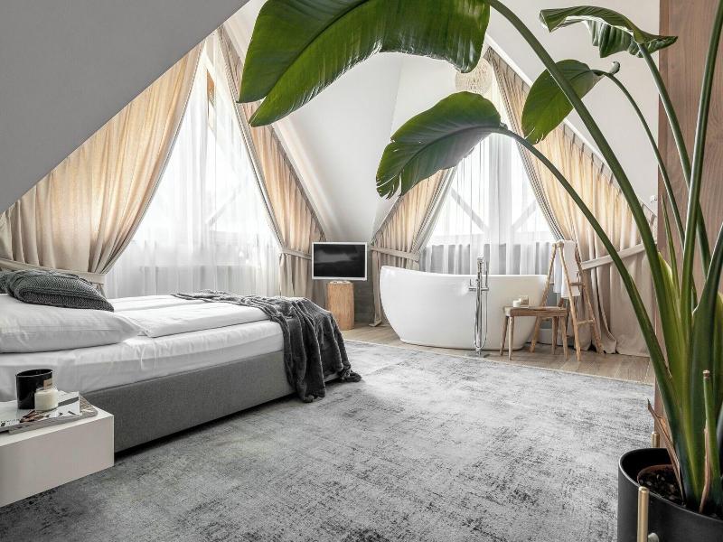 Hotel Zawrat image