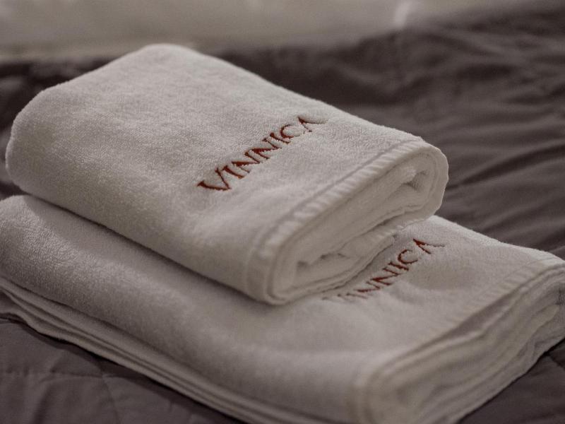 Hotel Vinnica image