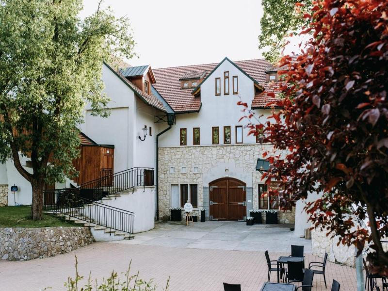 Hotel Vinnica image