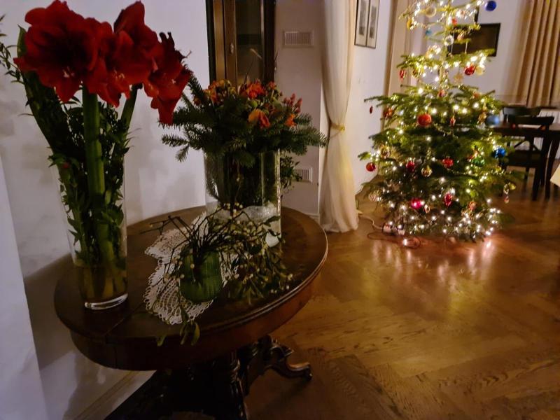 Hotel Charlotta image