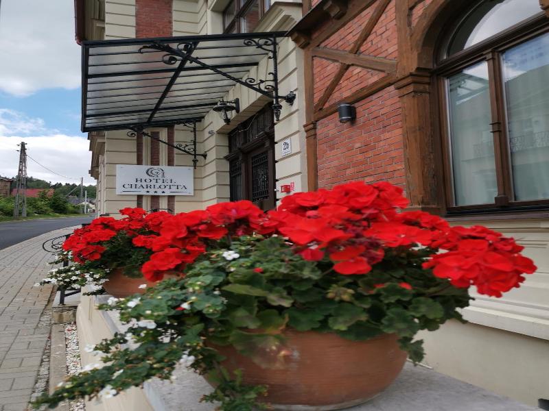 Hotel Charlotta image