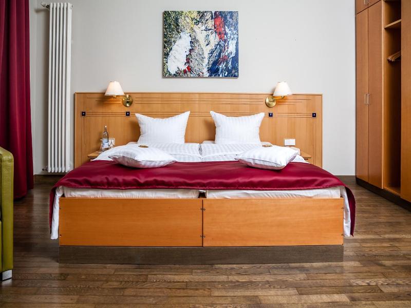 Spa Hotel Amsee image