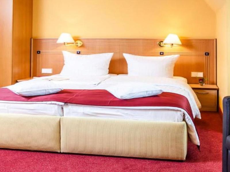 Spa Hotel Amsee image