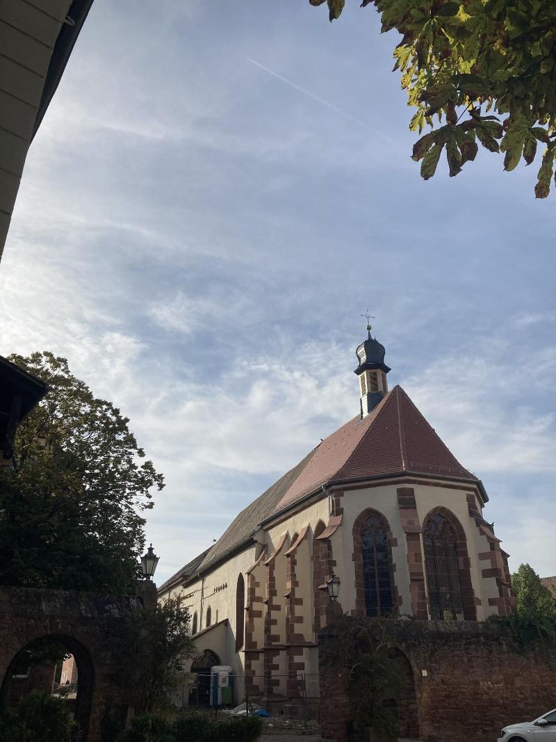 Hotel Im Lustgarten image