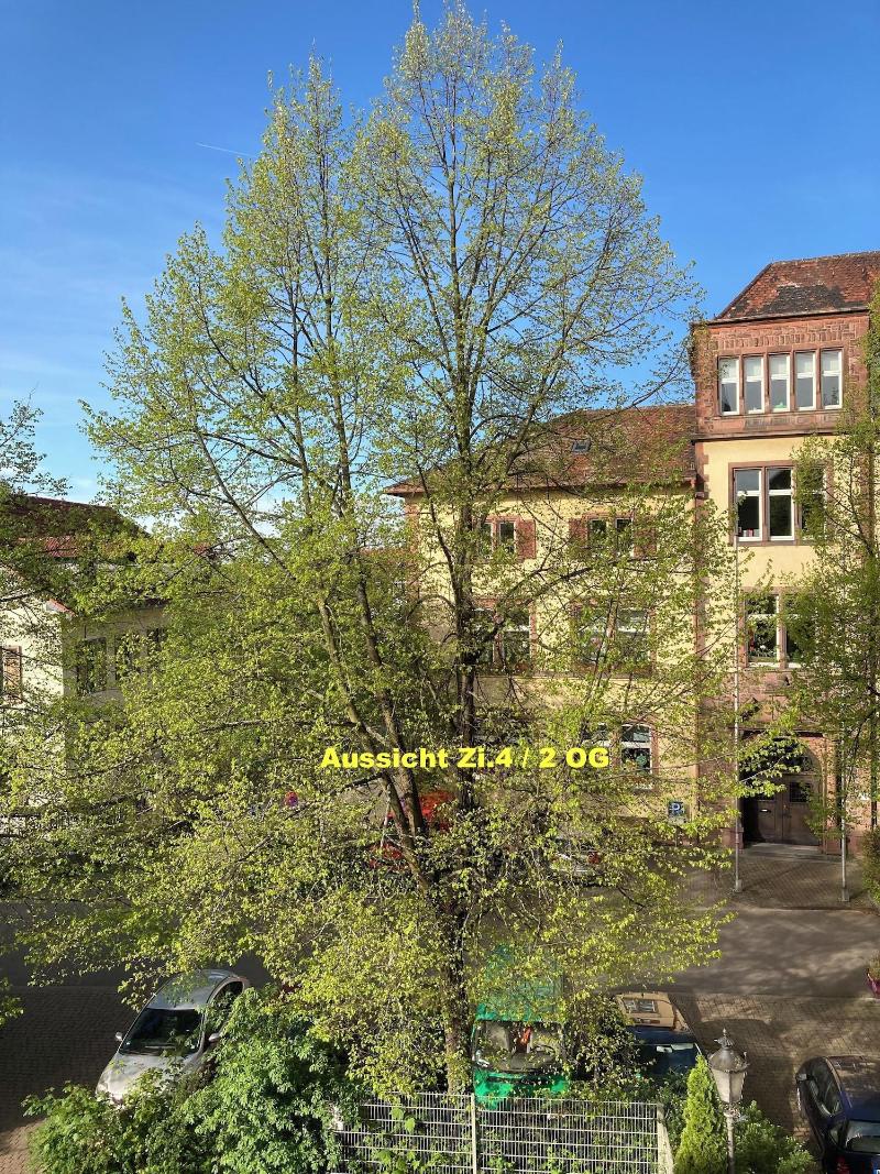 Hotel Im Lustgarten image