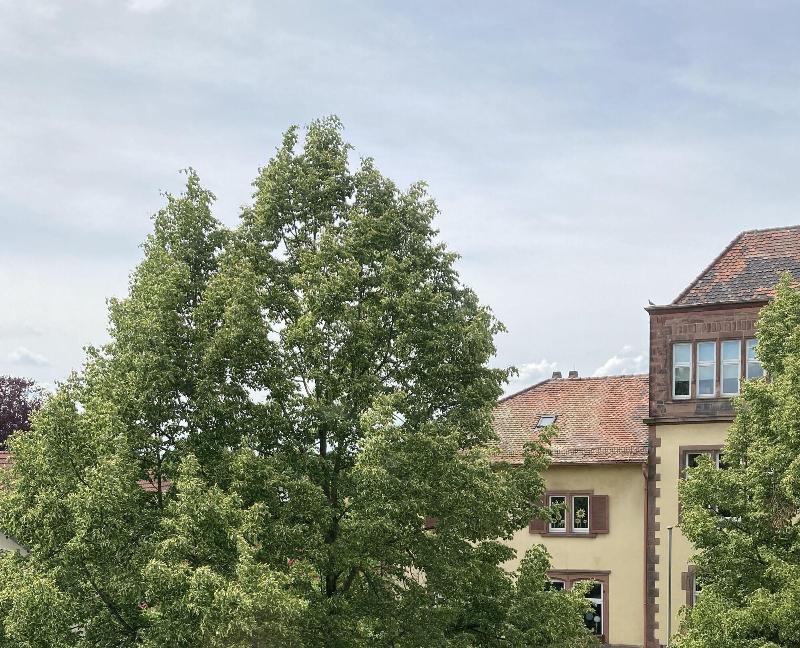Hotel Im Lustgarten image