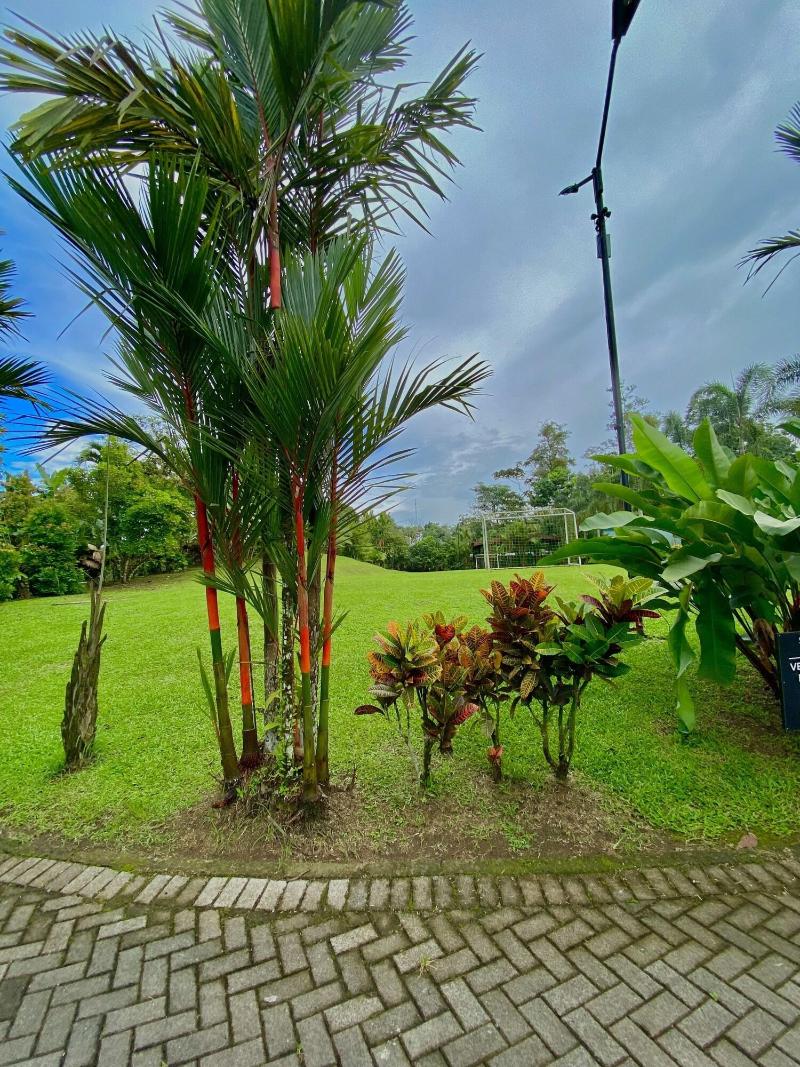 Casa Del Rio image