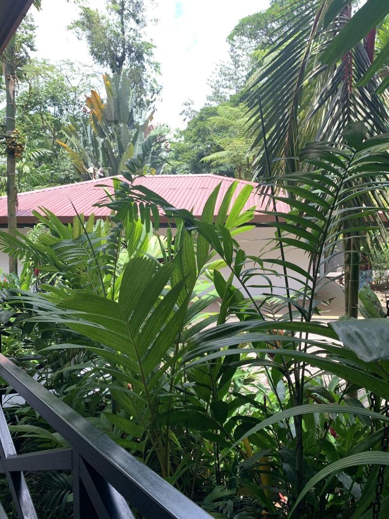 Casa Del Rio image