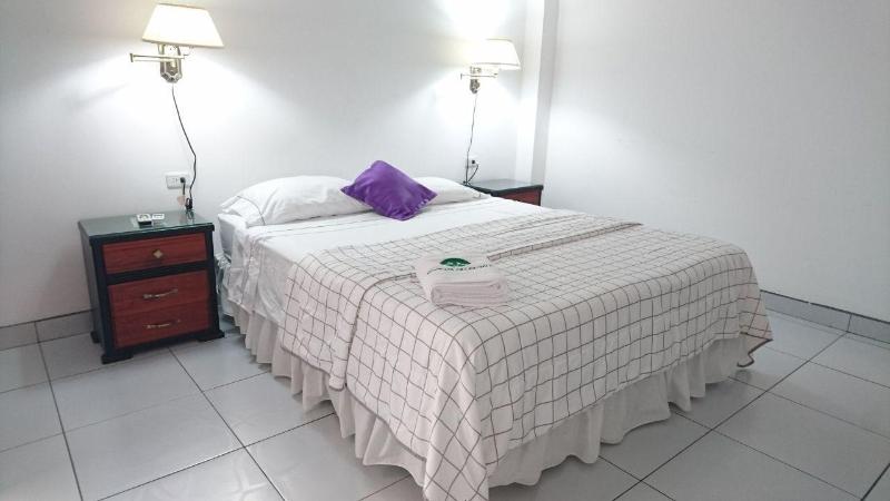 Hotel Las Palmas image