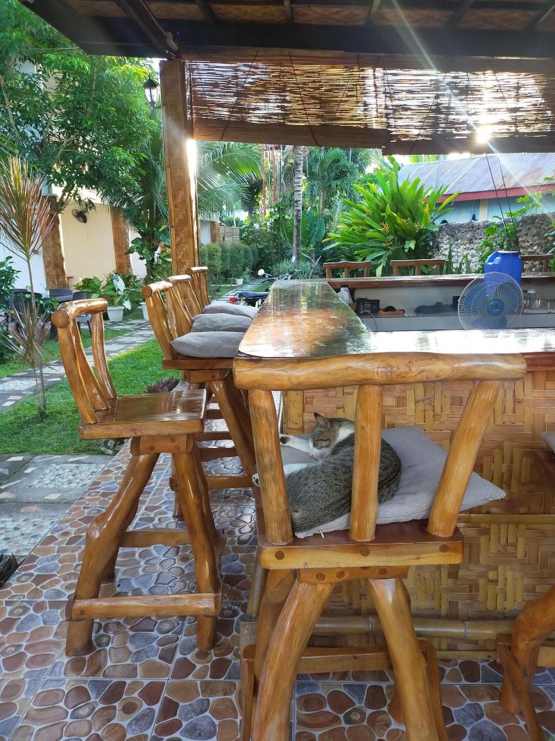 Hotel Renate image