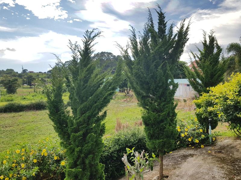 Ban Mae Resort — general view