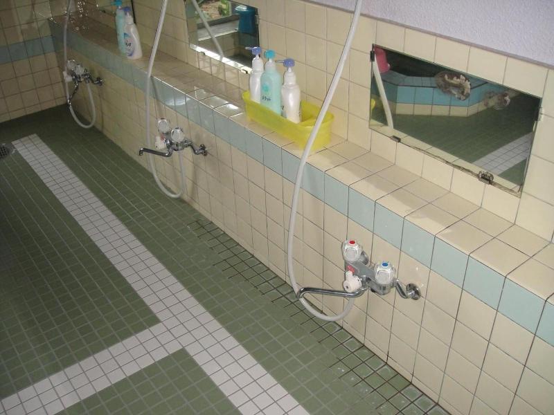 Matsuichi image