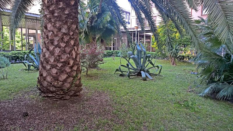 Coppola Myhouse 5