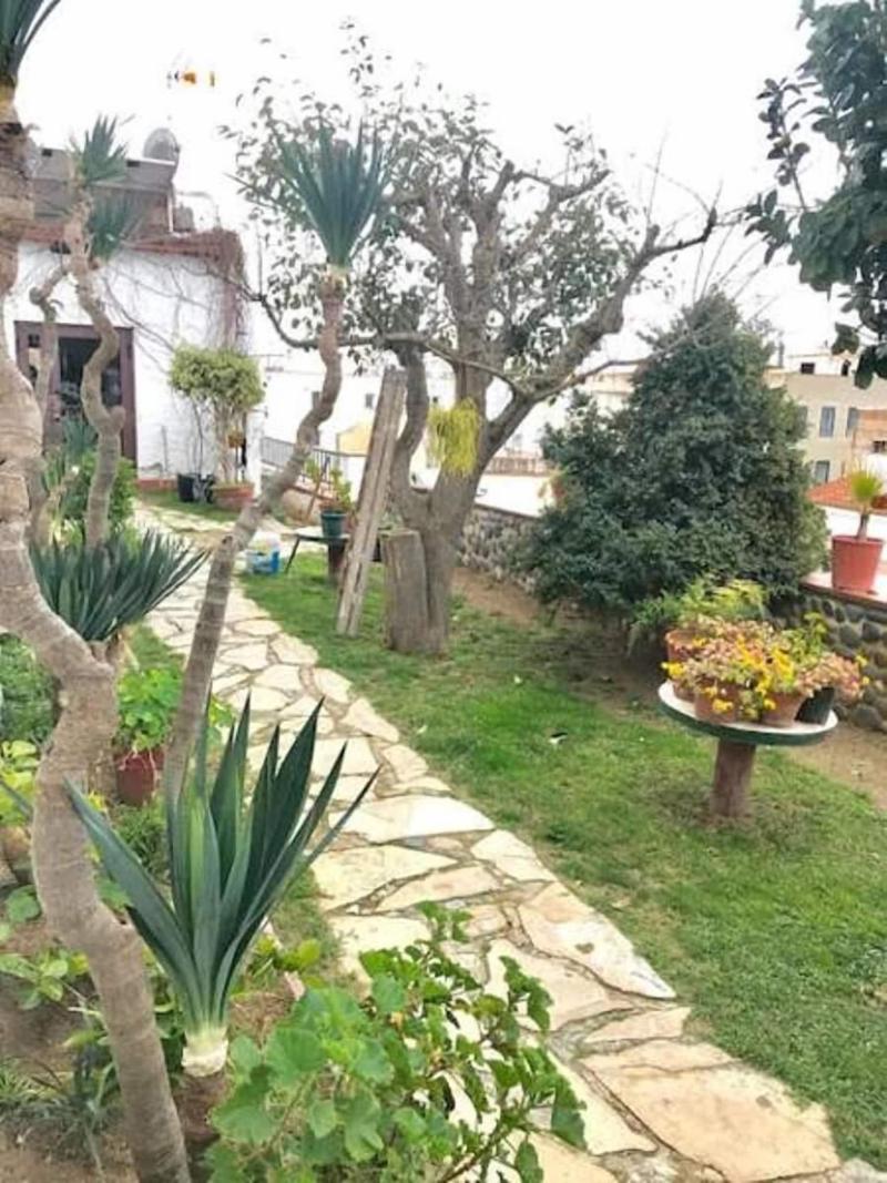 Hostal Casa Torrent image