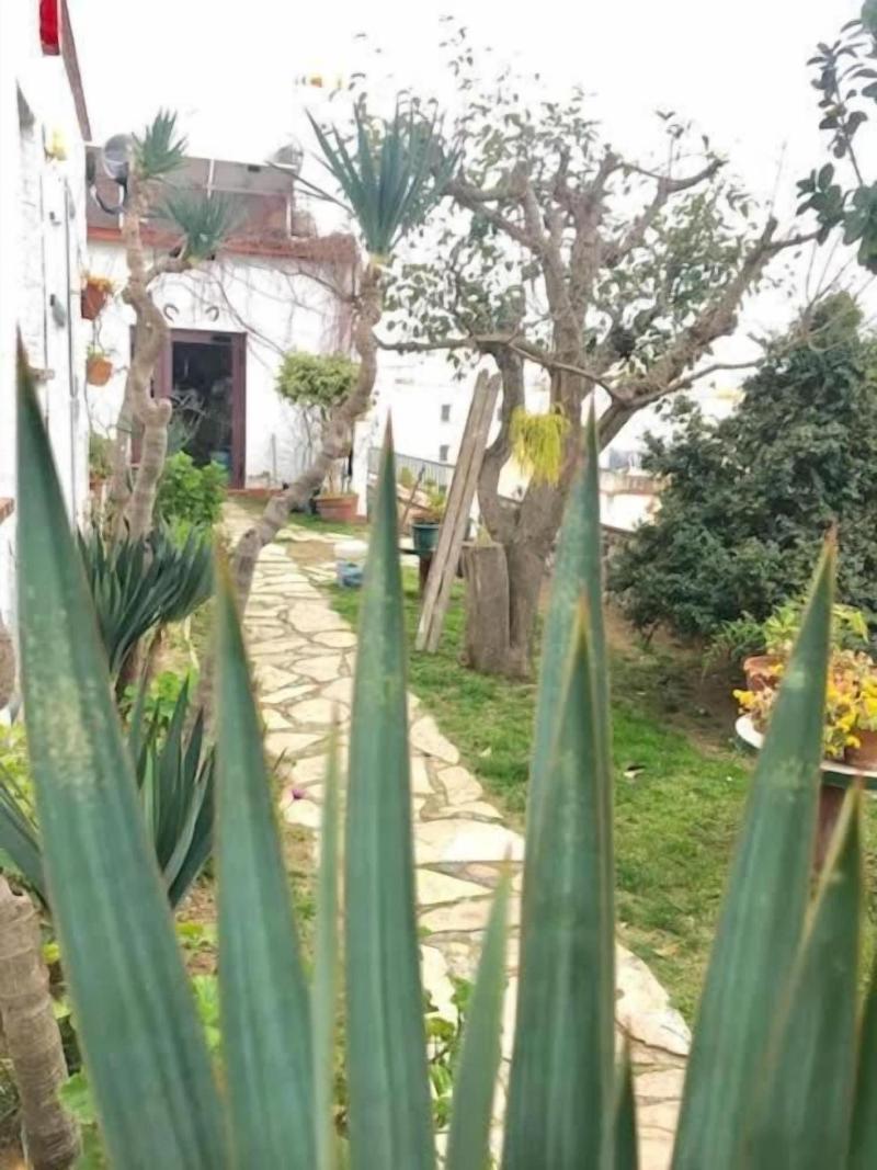 Hostal Casa Torrent image