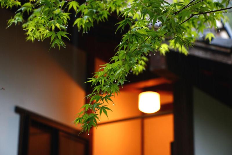 Yamakawa Zenzo image