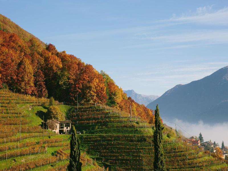 Relais Castello Di Morcote image