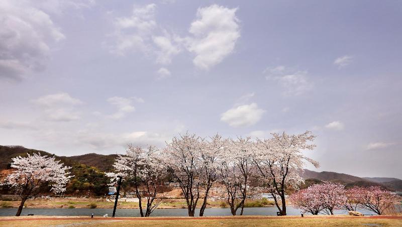 Midas Hotel & Resort image