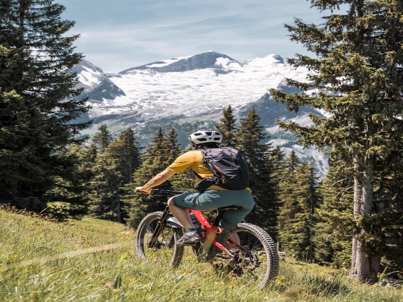 Youth Hostel Gstaad Saanenland image