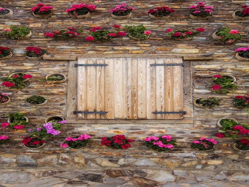 Alojamientos Rurales Los Albardinales image