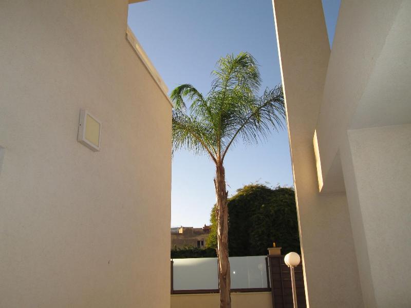 B&B Elisir image
