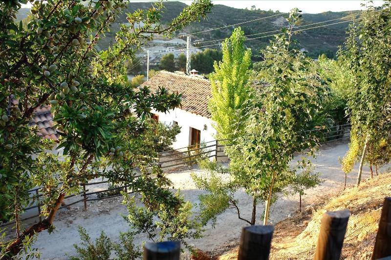 Complejo Rural El Molinillo image