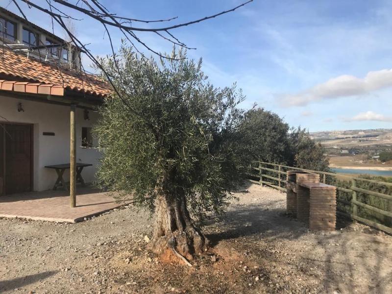 Complejo Rural El Molinillo image