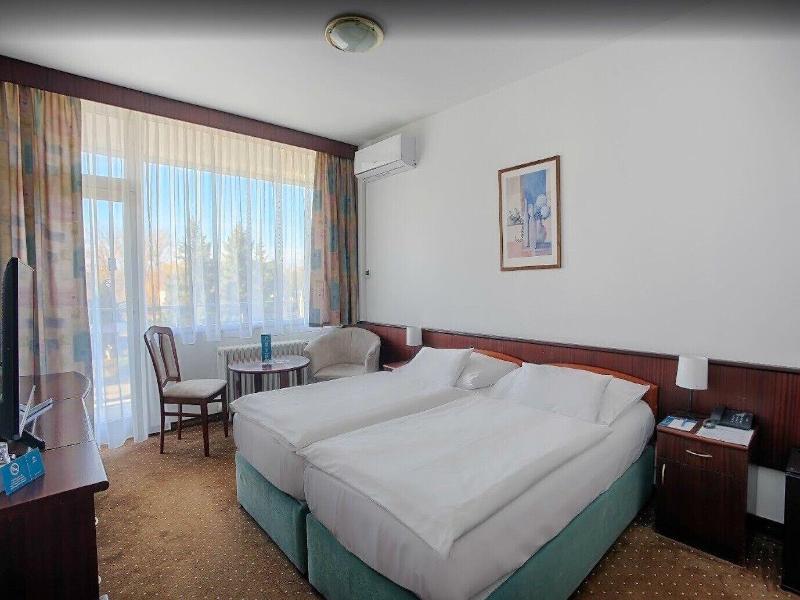 Splendid Ensana Health Spa Hotel image