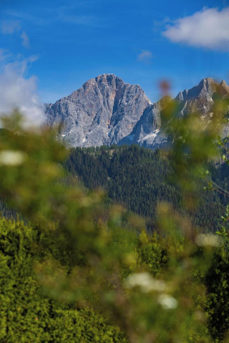 Landhaus Kirchgasser image