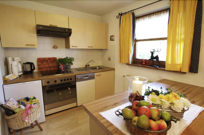 Appartement Ausserladscheider image
