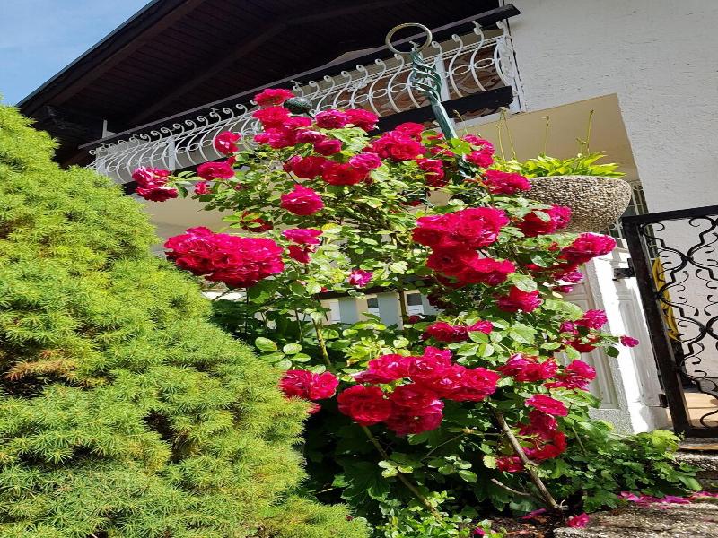 Pan Haus Bad Ischl image