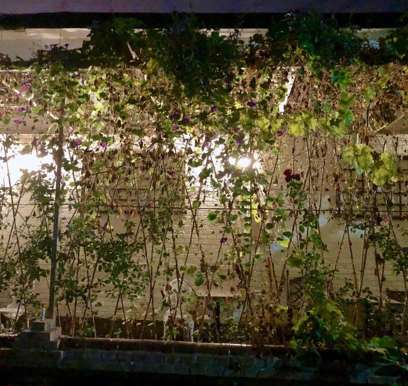 Manhong's Private Courtyard image