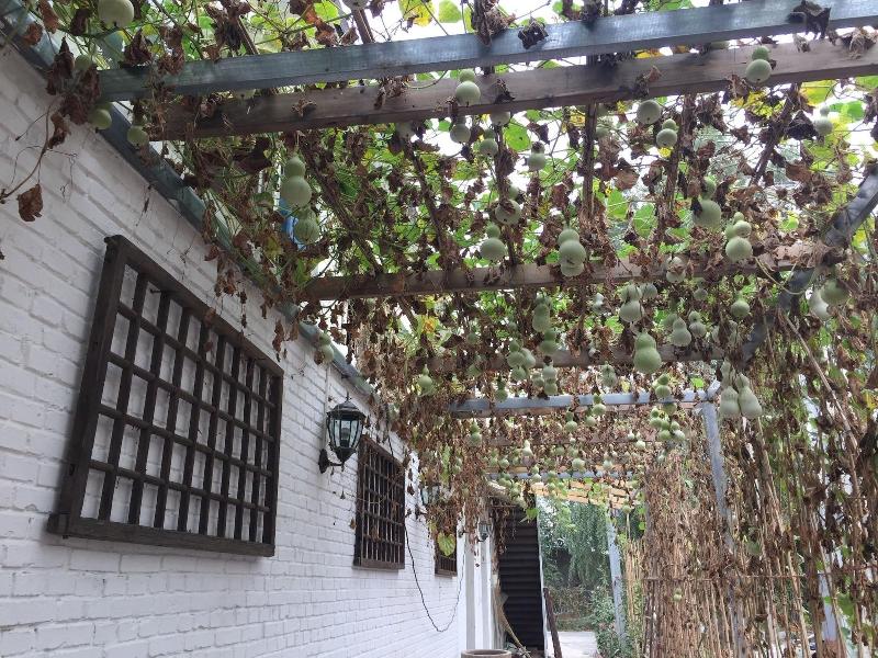 Manhong's Private Courtyard image
