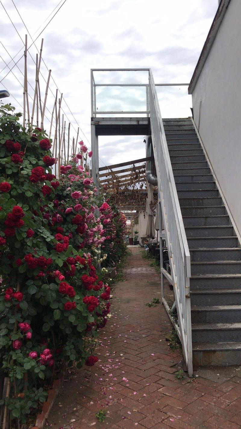 Manhong's Private Courtyard image
