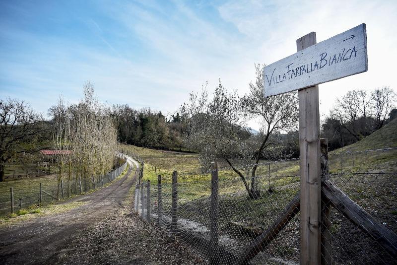 Villa Farfalla Bianca image