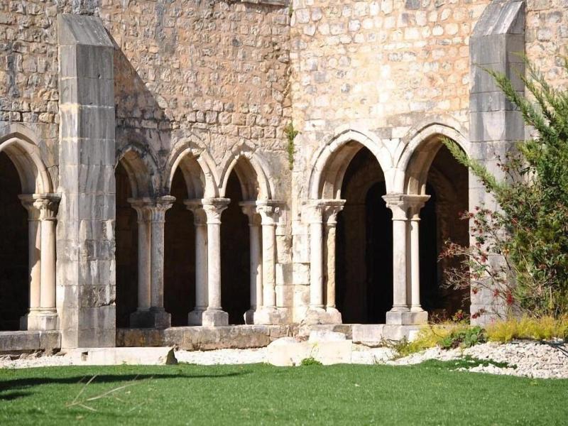 Tagus Host image