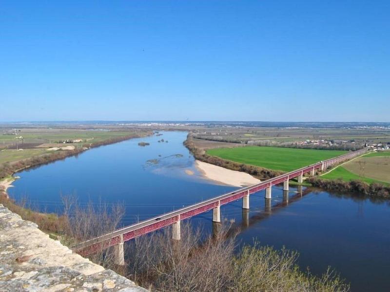 Tagus Host image