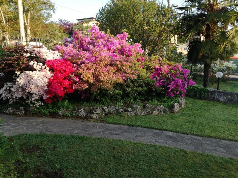 Villa Rosy B&B image