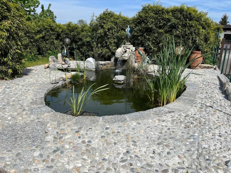 Villa Rosy B&B image