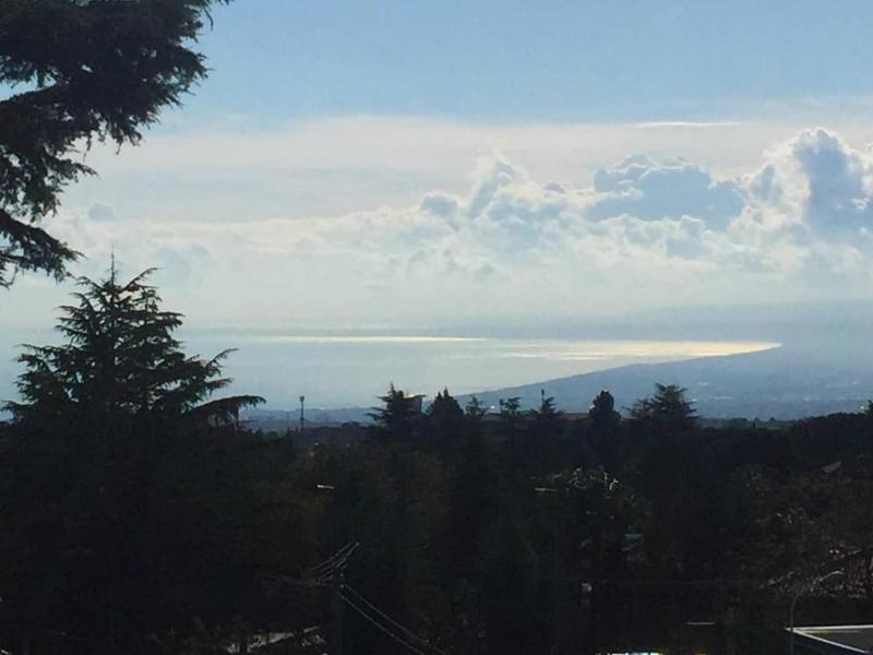 Betulla dell'Etna image