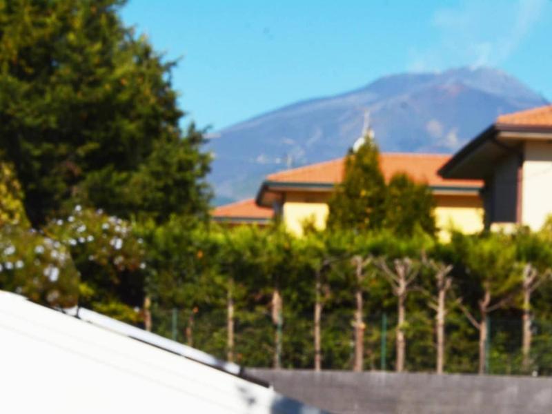 Betulla dell'Etna image