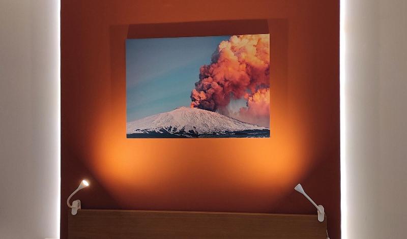 Betulla dell'Etna image