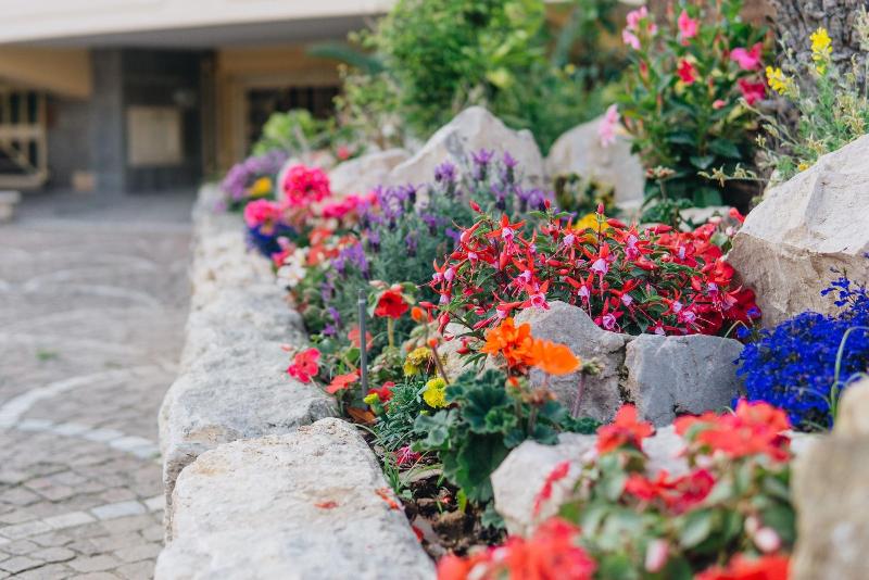 B & B Resort La Magnolia image