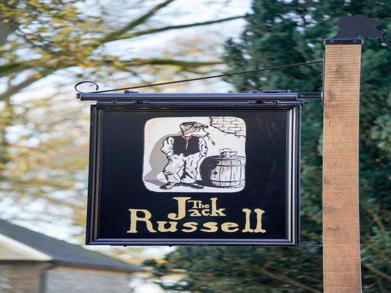 The Jack Russell image