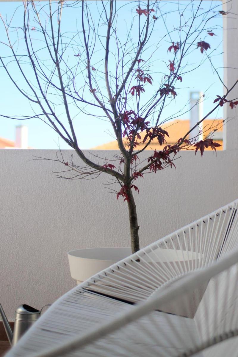 Vila Mafra - Grill Terrace image