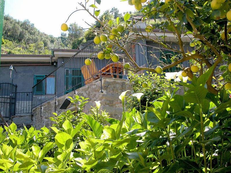Camere Giuliano image