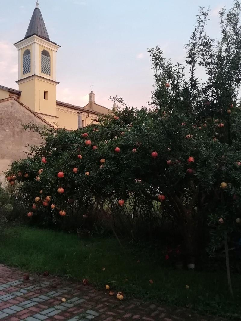 B&B Ciliegio Felice image