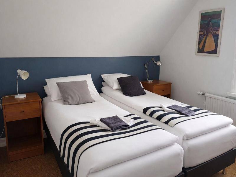 Refurinn Reykjavik Guesthouse image