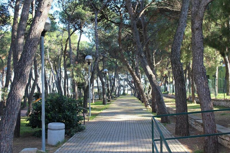 B&B La Pigna image