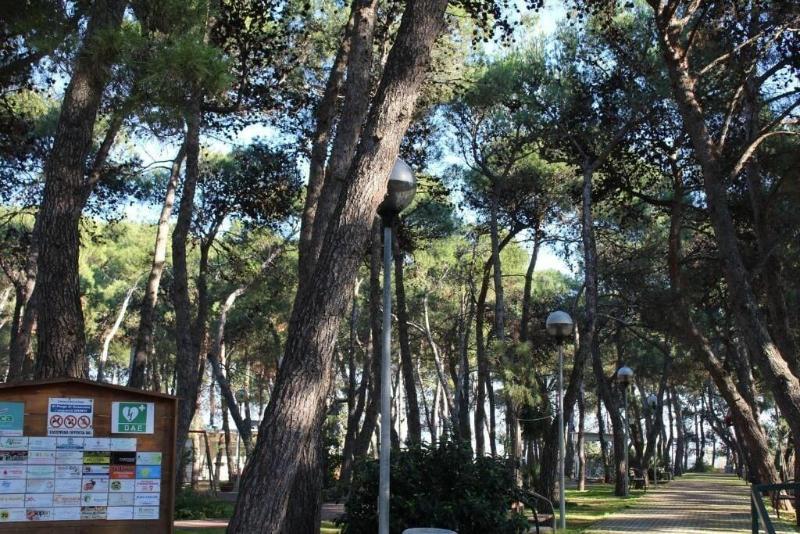 B&B La Pigna image
